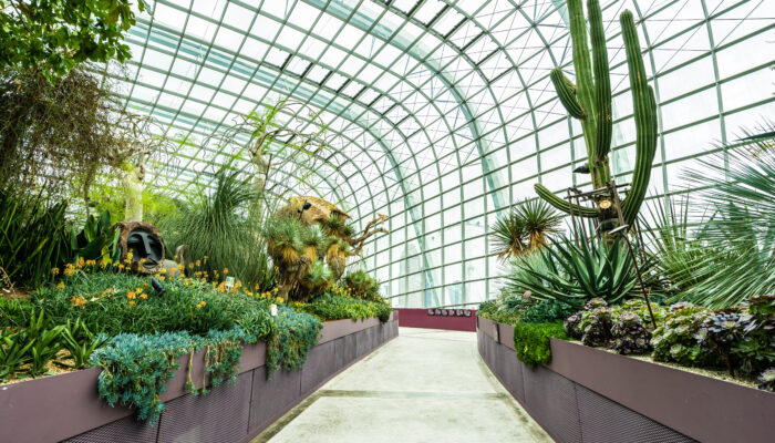 Flor jardim de cúpula e estufa floresta para viagens representando a construção verde.